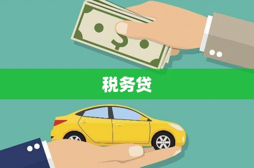 太康税务贷