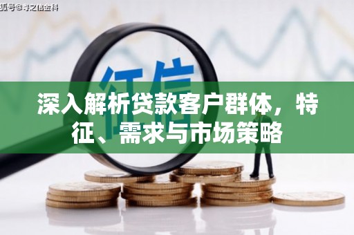 太康深入解析贷款客户群体，特征、需求与市场策略