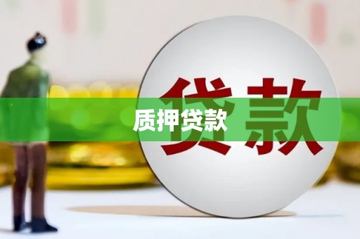 太康质押贷款