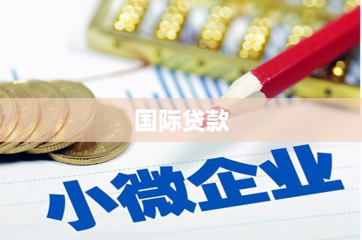 太康国际贷款