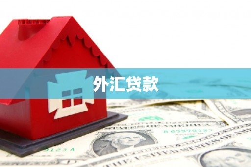 太康外汇贷款
