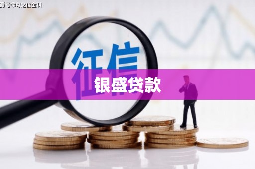 太康银盛贷款