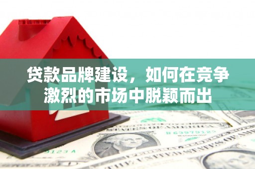 太康贷款品牌建设，如何在竞争激烈的市场中脱颖而出