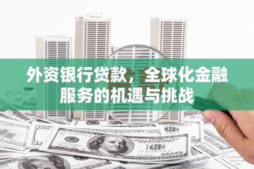 太康外资银行贷款，全球化金融服务的机遇与挑战