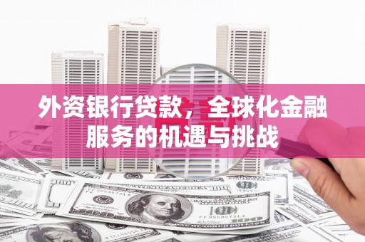 太康外资银行贷款，全球化金融服务的机遇与挑战