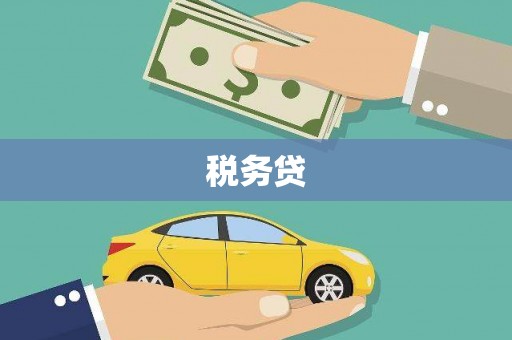 太康税务贷