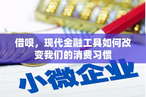 太康借呗，现代金融工具如何改变我们的消费习惯
