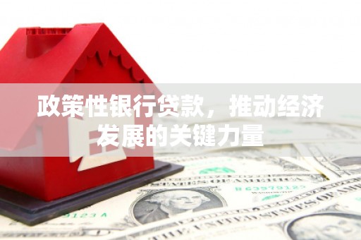 太康政策性银行贷款，推动经济发展的关键力量