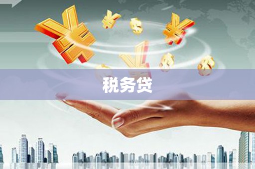 太康税务贷