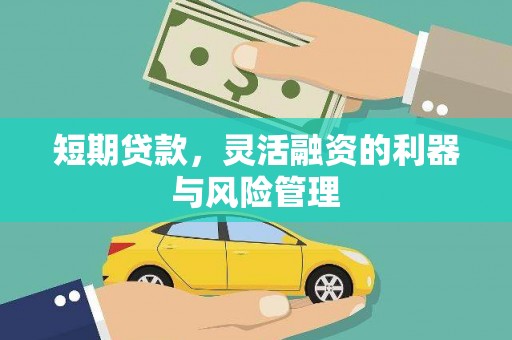 太康短期贷款，灵活融资的利器与风险管理