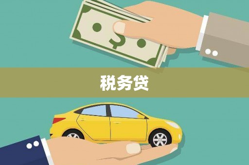 太康税务贷