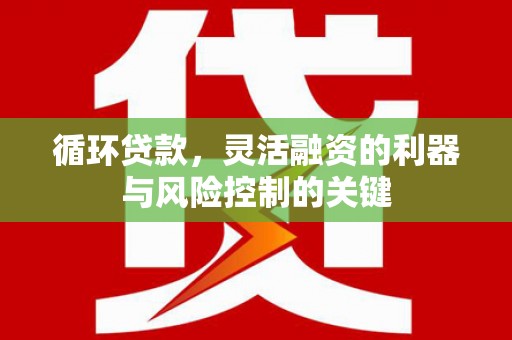 太康循环贷款，灵活融资的利器与风险控制的关键