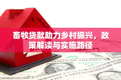 太康畜牧贷款助力乡村振兴，政策解读与实施路径