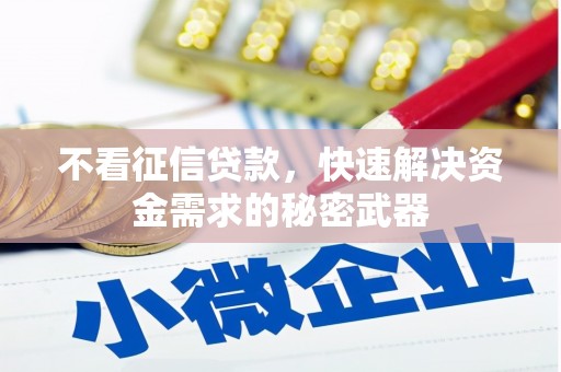 太康不看征信贷款，快速解决资金需求的秘密武器