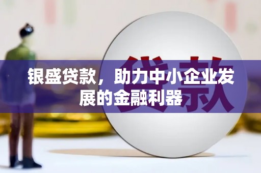 太康银盛贷款，助力中小企业发展的金融利器