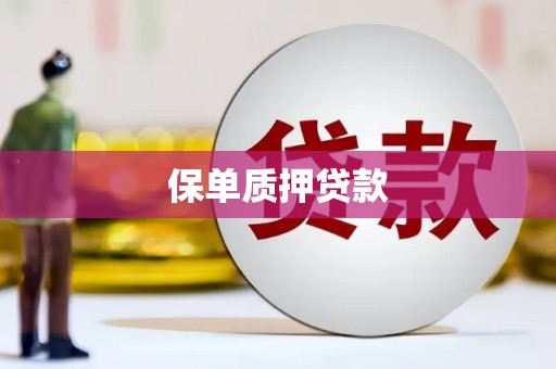 太康保单质押贷款