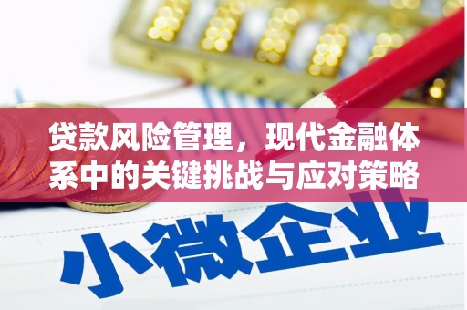 太康贷款风险管理，现代金融体系中的关键挑战与应对策略