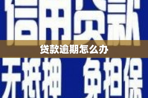 太康贷款逾期怎么办