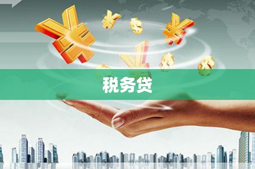 太康税务贷