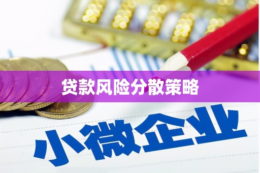 太康贷款风险分散策略
