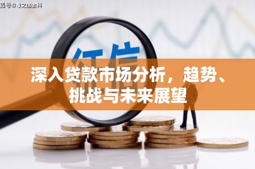 太康深入贷款市场分析，趋势、挑战与未来展望