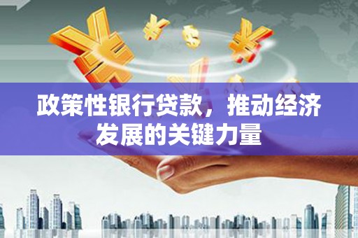 太康政策性银行贷款，推动经济发展的关键力量