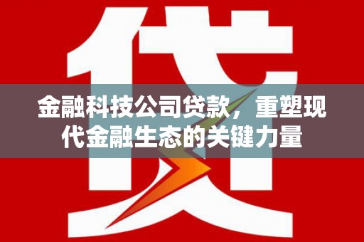太康金融科技公司贷款，重塑现代金融生态的关键力量