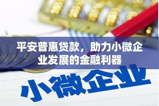太康平安普惠贷款，助力小微企业发展的金融利器