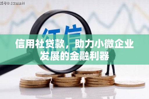 太康信用社贷款，助力小微企业发展的金融利器