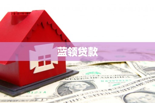 太康蓝领贷款