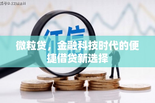 太康微粒贷，金融科技时代的便捷借贷新选择