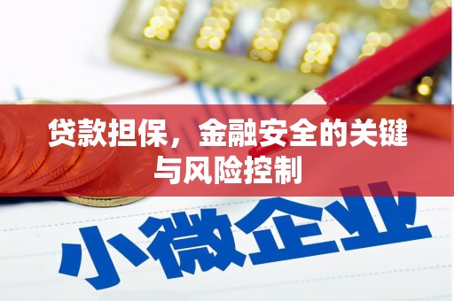 太康贷款担保，金融安全的关键与风险控制
