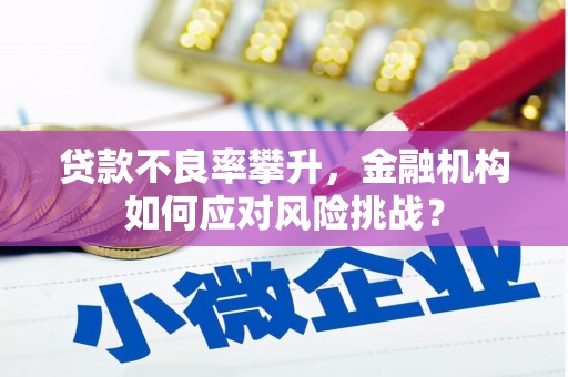 太康贷款不良率攀升，金融机构如何应对风险挑战？