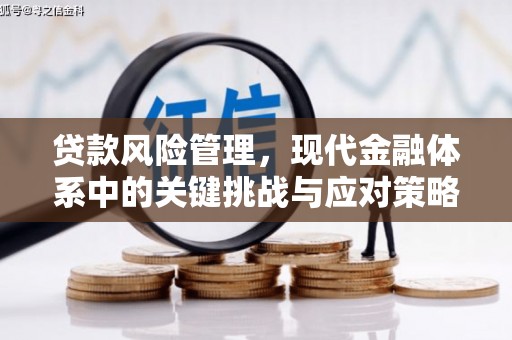 太康贷款风险管理，现代金融体系中的关键挑战与应对策略