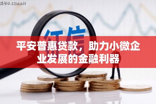 太康平安普惠贷款，助力小微企业发展的金融利器
