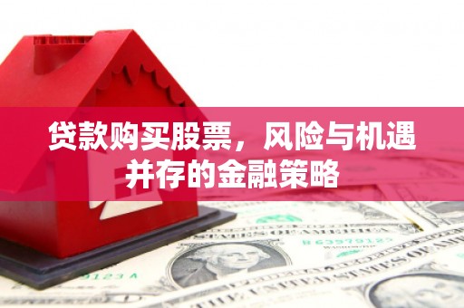 太康贷款购买股票，风险与机遇并存的金融策略