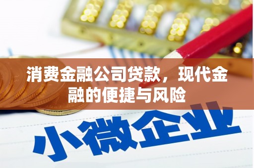 太康消费金融公司贷款，现代金融的便捷与风险