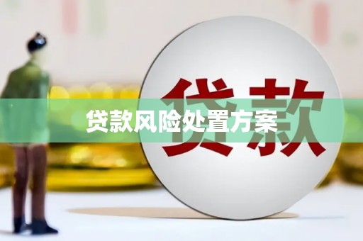 太康贷款风险处置方案
