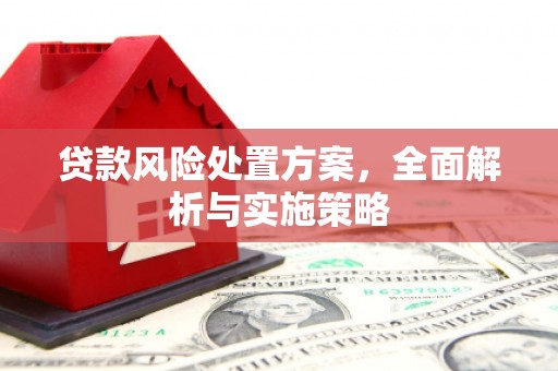 太康贷款风险处置方案，全面解析与实施策略